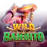 Wild Bandito